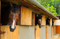 free Charlton Down stable construction quotes